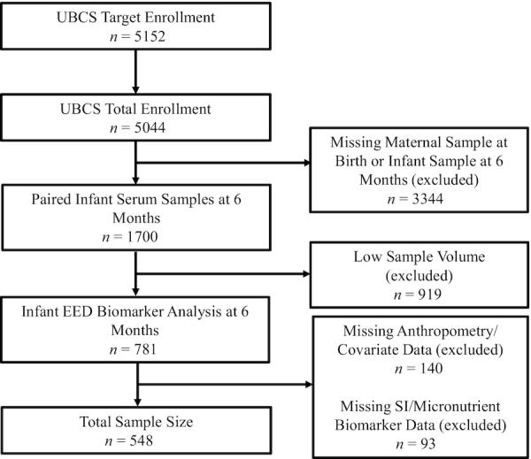 https://cdn.ncbi.nlm.nih.gov/pmc/blobs/4755/7398767/5c6985cca8a2/nxaa141fig1.jpg