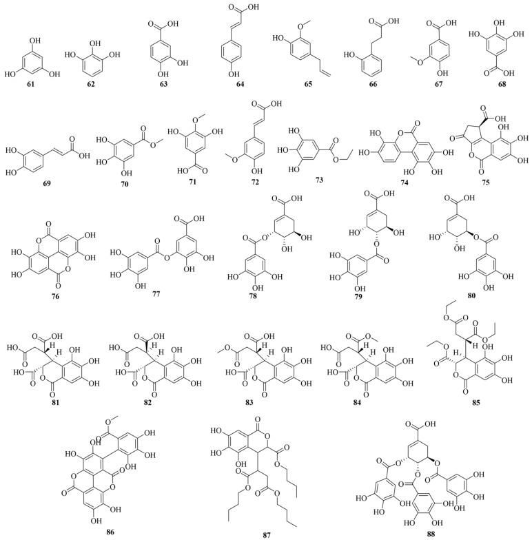 https://cdn.ncbi.nlm.nih.gov/pmc/blobs/4756/11643145/224a26084465/molecules-29-05547-g003.jpg