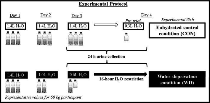 https://cdn.ncbi.nlm.nih.gov/pmc/blobs/4757/7510566/71a1a7ccf002/PHY2-8-e14581-g001.jpg