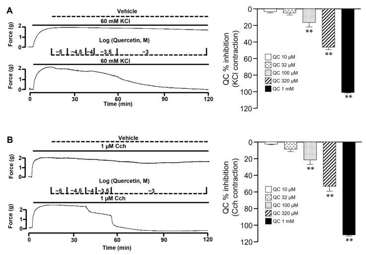 https://cdn.ncbi.nlm.nih.gov/pmc/blobs/475b/11123793/a31c60fa20f5/molecules-29-02284-g007.jpg