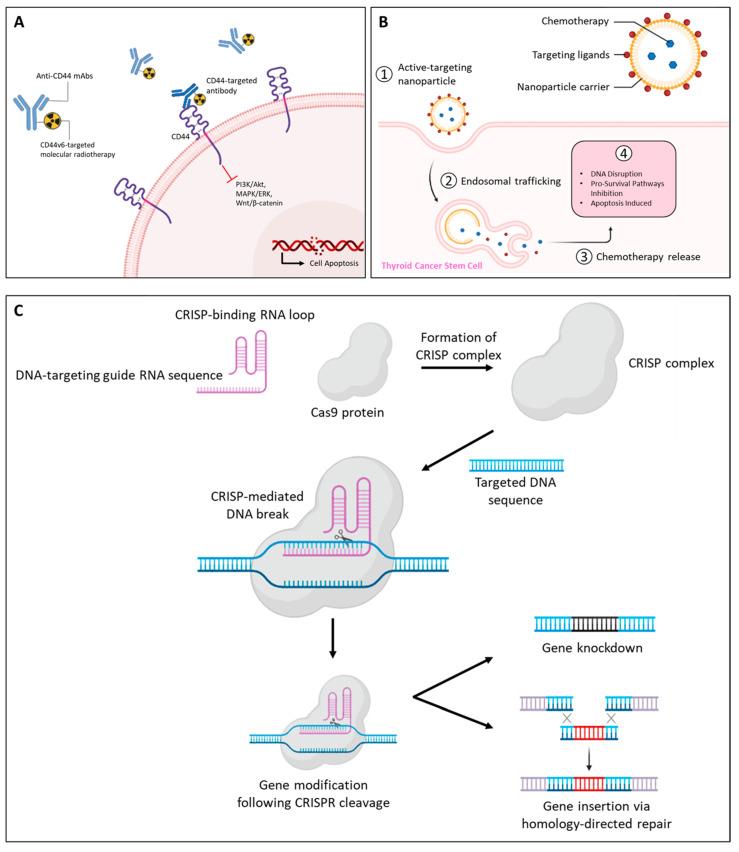 https://cdn.ncbi.nlm.nih.gov/pmc/blobs/475b/12073131/500903cdddc3/molecules-30-01899-g005.jpg