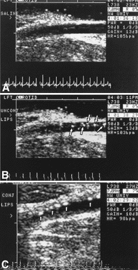 https://cdn.ncbi.nlm.nih.gov/pmc/blobs/475c/2940038/24a2cccffcba/12350_2010_9263_Fig5_HTML.jpg