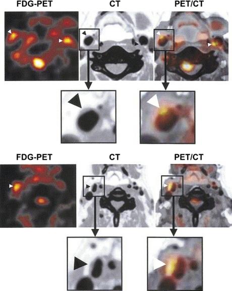 https://cdn.ncbi.nlm.nih.gov/pmc/blobs/475c/2940038/79dc1664cc93/12350_2010_9263_Fig2_HTML.jpg