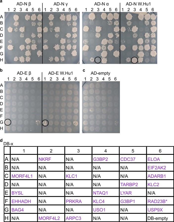 https://cdn.ncbi.nlm.nih.gov/pmc/blobs/475c/9849141/45d64731b45a/41587_2022_1475_Fig9_ESM.jpg