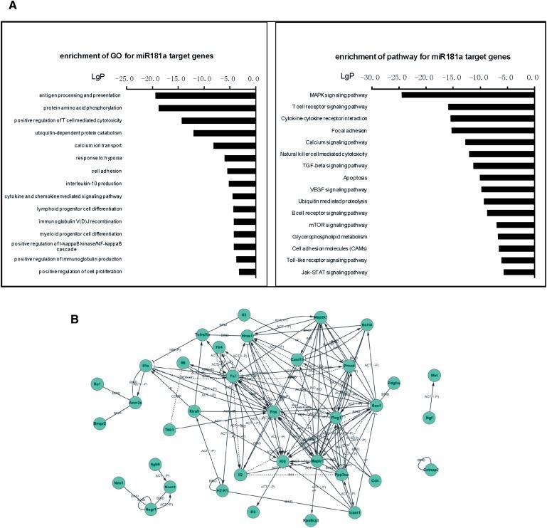 https://cdn.ncbi.nlm.nih.gov/pmc/blobs/475e/3466004/ec907854efdc/2355fig3.jpg