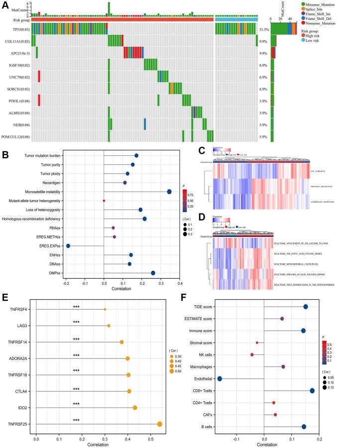 https://cdn.ncbi.nlm.nih.gov/pmc/blobs/475f/10564441/33ee53f2e0d1/aging-15-204888-g003.jpg