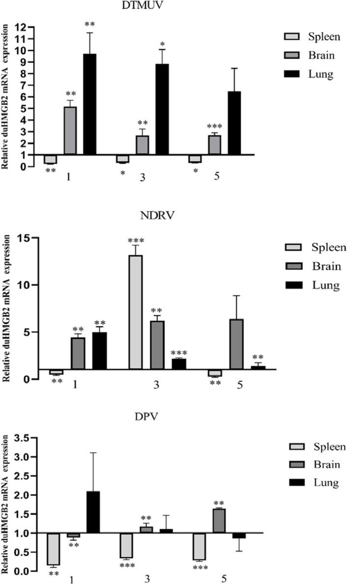 https://cdn.ncbi.nlm.nih.gov/pmc/blobs/4760/7593565/44bc2a8d3678/fimmu-11-572289-g0003.jpg