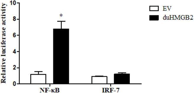 https://cdn.ncbi.nlm.nih.gov/pmc/blobs/4760/7593565/50ffa205ad40/fimmu-11-572289-g0007.jpg
