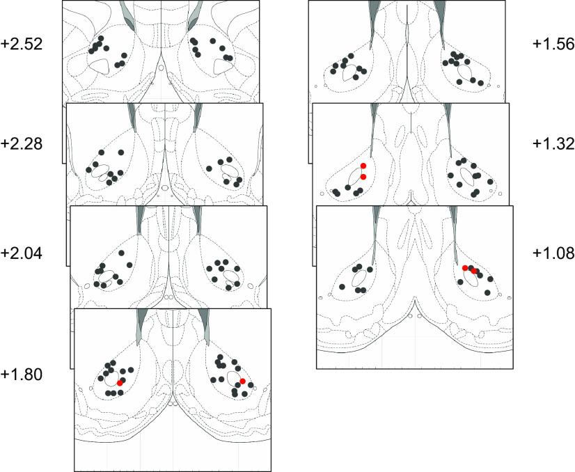 https://cdn.ncbi.nlm.nih.gov/pmc/blobs/4761/10488220/23e39447b55e/ENEURO.0196-23.2023_f002.jpg