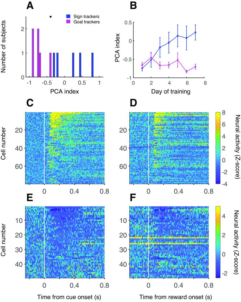 https://cdn.ncbi.nlm.nih.gov/pmc/blobs/4761/10488220/63047bbce57f/ENEURO.0196-23.2023_f001.jpg
