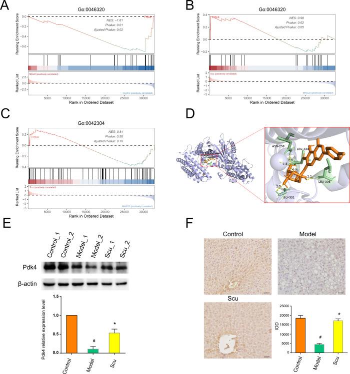 https://cdn.ncbi.nlm.nih.gov/pmc/blobs/4763/12138648/94ac3dd465d7/ao4c09465_0005.jpg