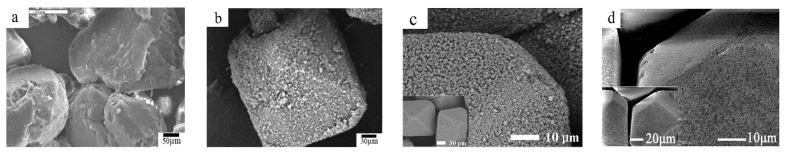 https://cdn.ncbi.nlm.nih.gov/pmc/blobs/4763/8468727/e95ebcaa1532/molecules-26-05650-g003a.jpg