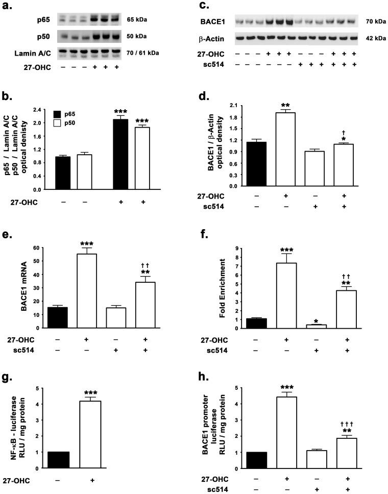 https://cdn.ncbi.nlm.nih.gov/pmc/blobs/4765/3739769/8ff626535229/pone.0070773.g001.jpg