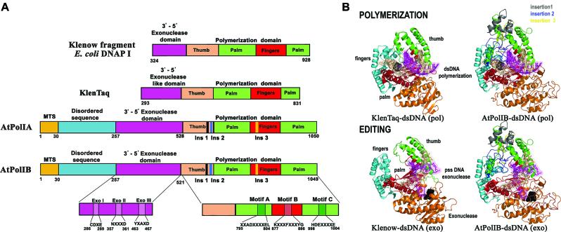 https://cdn.ncbi.nlm.nih.gov/pmc/blobs/4765/5737093/7312f4ca5945/gkx744fig1.jpg