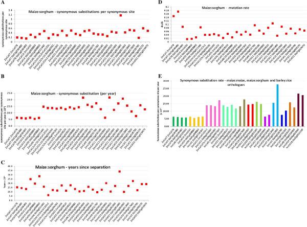 https://cdn.ncbi.nlm.nih.gov/pmc/blobs/4767/3557191/102e1812776d/1471-2229-12-235-3.jpg