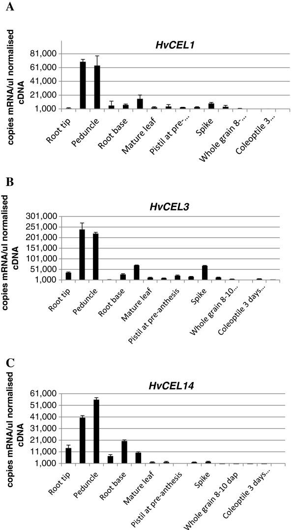 https://cdn.ncbi.nlm.nih.gov/pmc/blobs/4767/3557191/f76121d063eb/1471-2229-12-235-5.jpg
