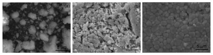 https://cdn.ncbi.nlm.nih.gov/pmc/blobs/4769/7998491/3d7e08d53523/nanomaterials-11-00660-g005.jpg