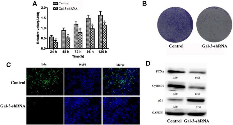 https://cdn.ncbi.nlm.nih.gov/pmc/blobs/476a/8180910/786c01d64f84/fmolb-08-666054-g002.jpg