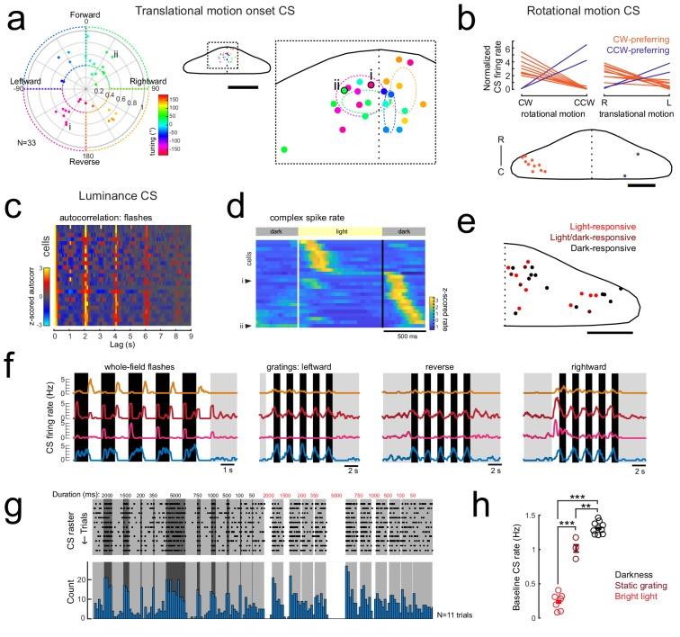 https://cdn.ncbi.nlm.nih.gov/pmc/blobs/476b/6374073/34a57b7b2413/elife-42138-fig4-figsupp1.jpg