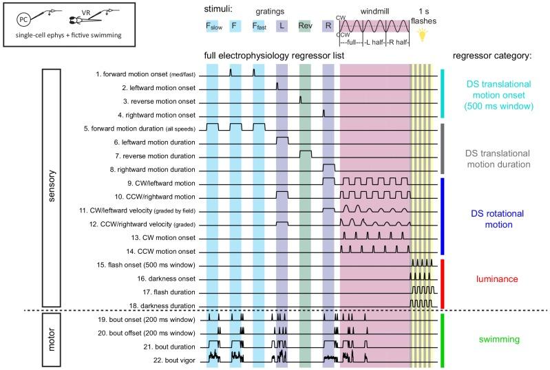 https://cdn.ncbi.nlm.nih.gov/pmc/blobs/476b/6374073/39ad517f0e65/elife-42138-fig3-figsupp1.jpg