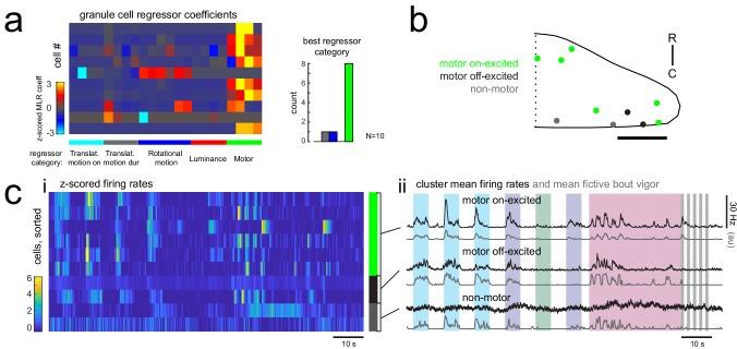 https://cdn.ncbi.nlm.nih.gov/pmc/blobs/476b/6374073/6773f4d5de2c/elife-42138-fig6-figsupp1.jpg