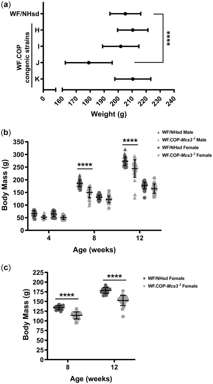 https://cdn.ncbi.nlm.nih.gov/pmc/blobs/476b/9836357/d3acd02bf2e8/jkac288f4.jpg