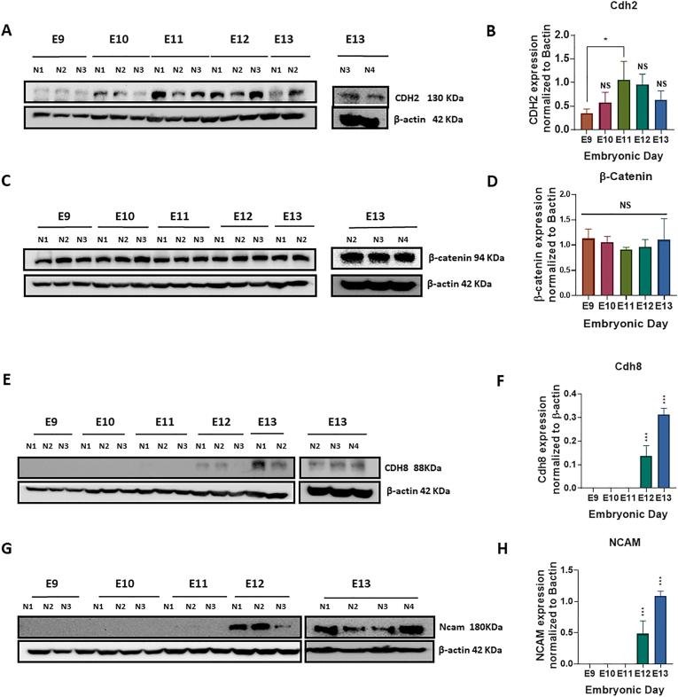 https://cdn.ncbi.nlm.nih.gov/pmc/blobs/476c/9535406/3dc5f560fd61/gr3a.jpg