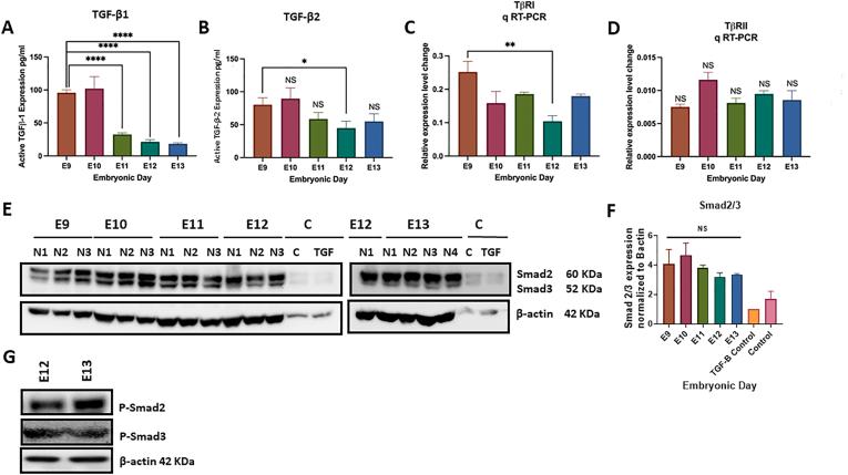 https://cdn.ncbi.nlm.nih.gov/pmc/blobs/476c/9535406/597c60314613/gr2a.jpg