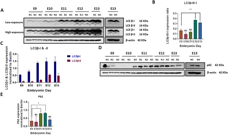 https://cdn.ncbi.nlm.nih.gov/pmc/blobs/476c/9535406/f1162106b473/gr4.jpg
