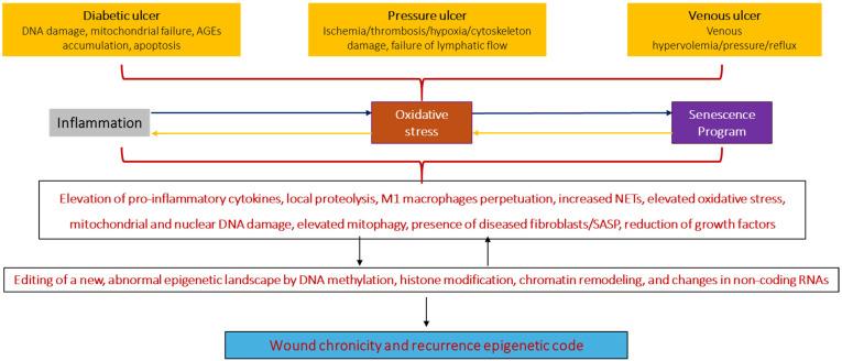 https://cdn.ncbi.nlm.nih.gov/pmc/blobs/476d/12428840/174582fd109b/ijms-26-08745-g004.jpg