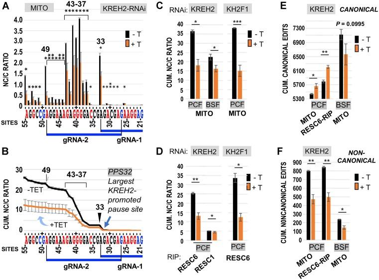 https://cdn.ncbi.nlm.nih.gov/pmc/blobs/476f/11514453/8dc81b63aede/gkae699fig4.jpg