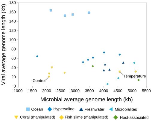 https://cdn.ncbi.nlm.nih.gov/pmc/blobs/4770/2781106/6bcdfda53c60/pcbi.1000593.g005.jpg