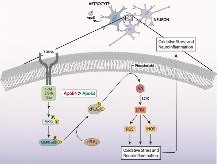 https://cdn.ncbi.nlm.nih.gov/pmc/blobs/4770/9202185/b3853c0f9d6f/13024_2022_549_Fig10_HTML.jpg