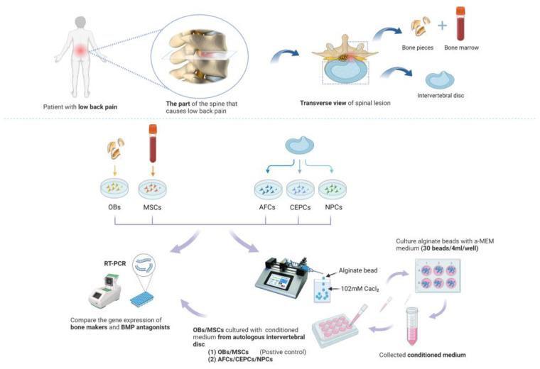 https://cdn.ncbi.nlm.nih.gov/pmc/blobs/4771/10886592/58c9c420faa1/biomedicines-12-00376-g001.jpg