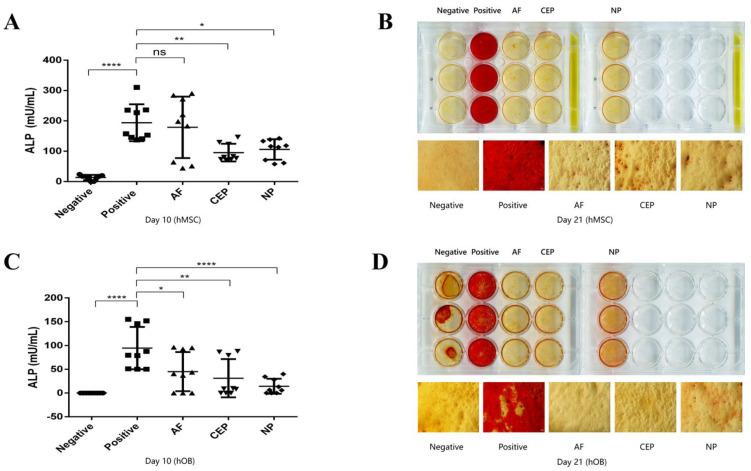 https://cdn.ncbi.nlm.nih.gov/pmc/blobs/4771/10886592/90dbfb8f2536/biomedicines-12-00376-g003.jpg