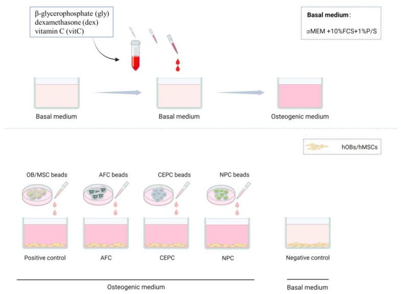 https://cdn.ncbi.nlm.nih.gov/pmc/blobs/4771/10886592/9c6924f1c47d/biomedicines-12-00376-g002.jpg