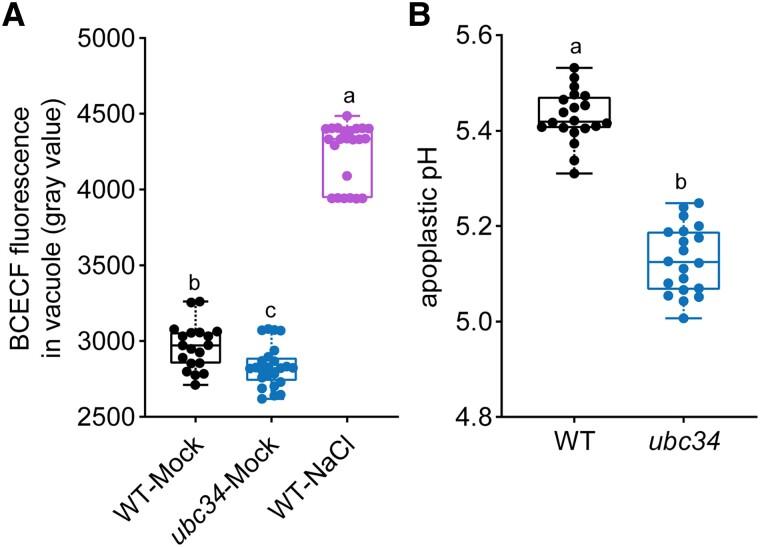 https://cdn.ncbi.nlm.nih.gov/pmc/blobs/4771/11809586/4b50bc974cc1/kiaf015f7.jpg