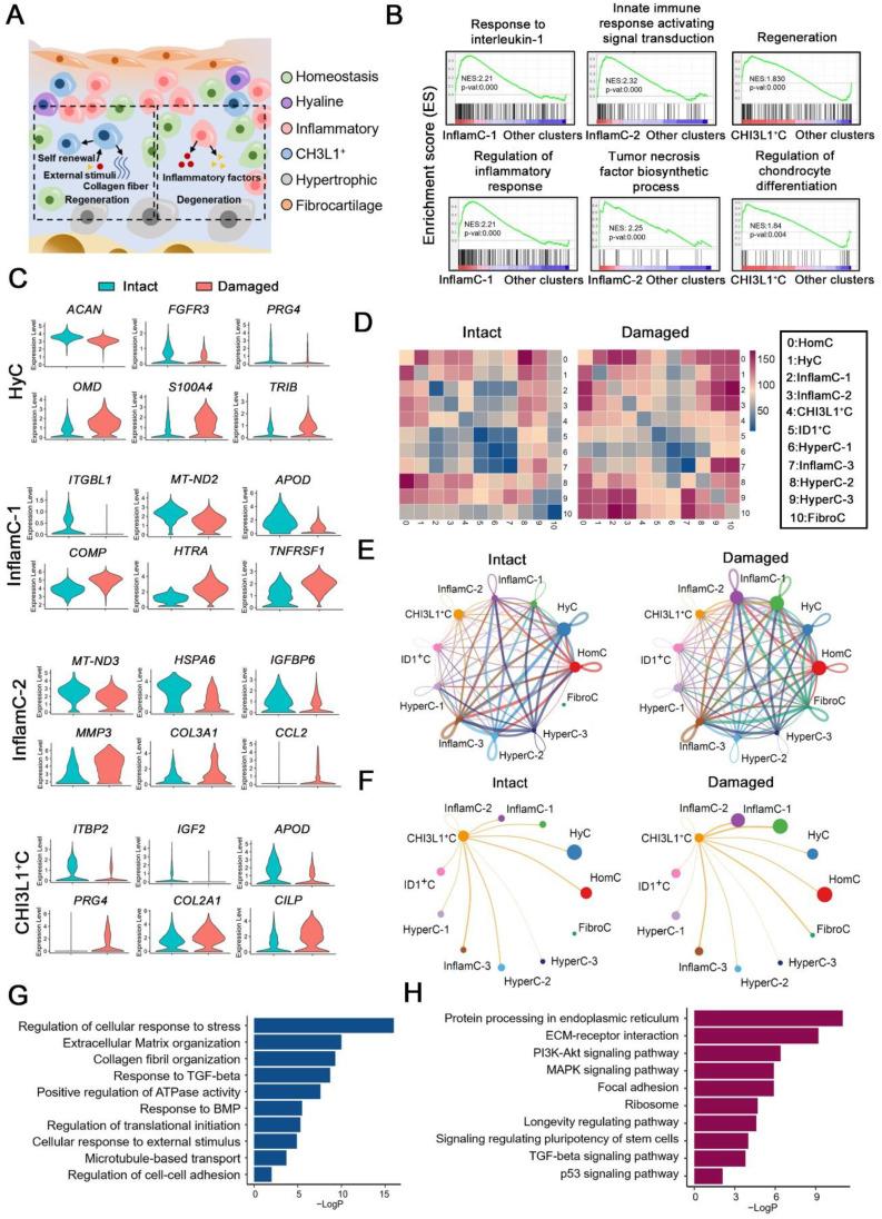 https://cdn.ncbi.nlm.nih.gov/pmc/blobs/4775/10283062/66bf8ba9b45c/thnov13p3480g002.jpg
