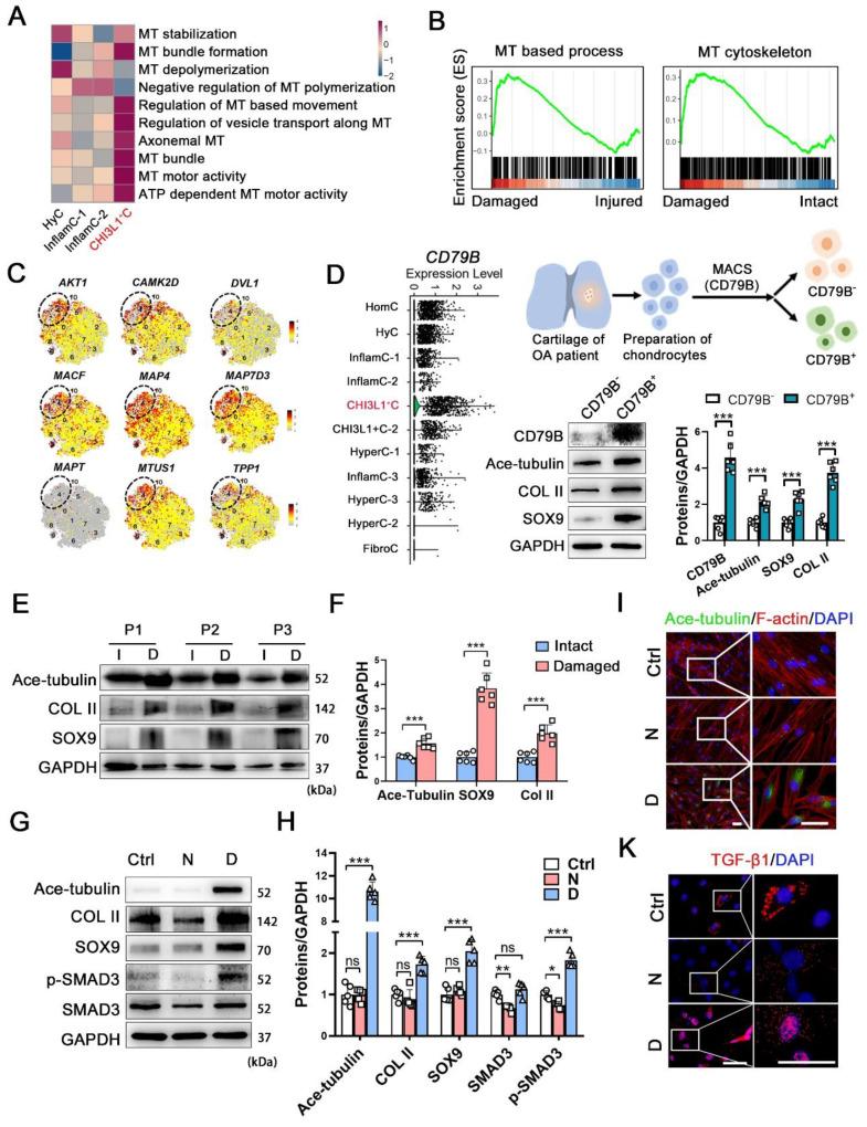 https://cdn.ncbi.nlm.nih.gov/pmc/blobs/4775/10283062/9a15dc119570/thnov13p3480g003.jpg