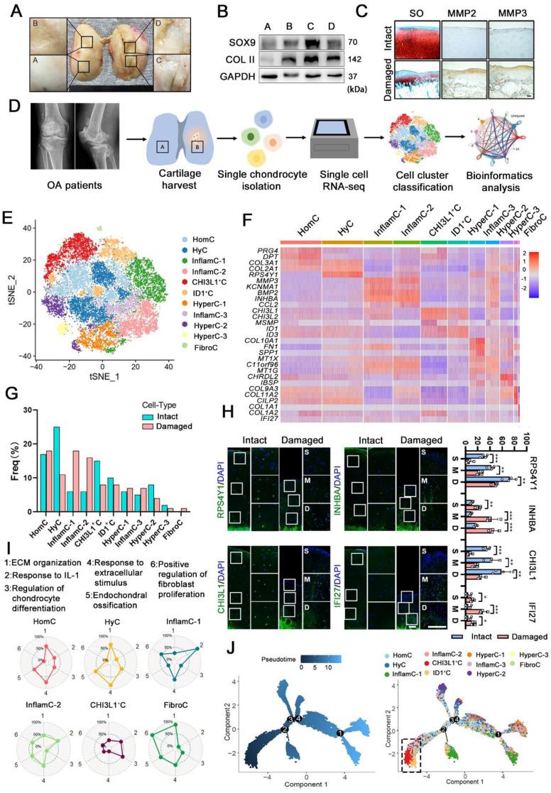 https://cdn.ncbi.nlm.nih.gov/pmc/blobs/4775/10283062/e27e372c499b/thnov13p3480g001.jpg