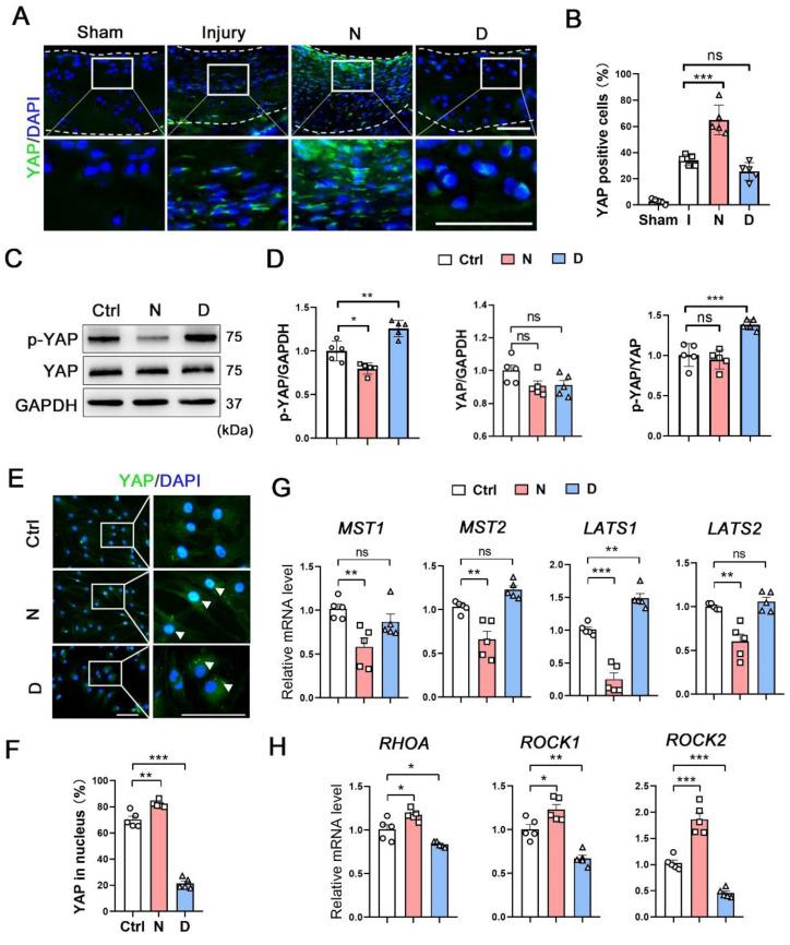 https://cdn.ncbi.nlm.nih.gov/pmc/blobs/4775/10283062/f6f4afe9d51d/thnov13p3480g005.jpg