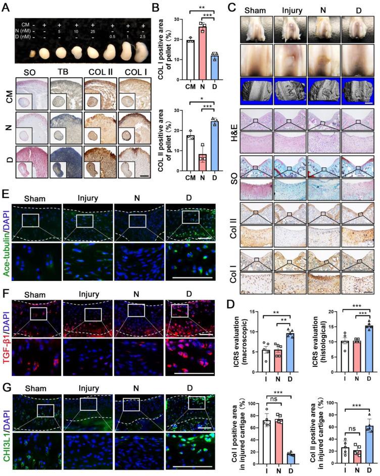 https://cdn.ncbi.nlm.nih.gov/pmc/blobs/4775/10283062/f97076a6c1a3/thnov13p3480g004.jpg