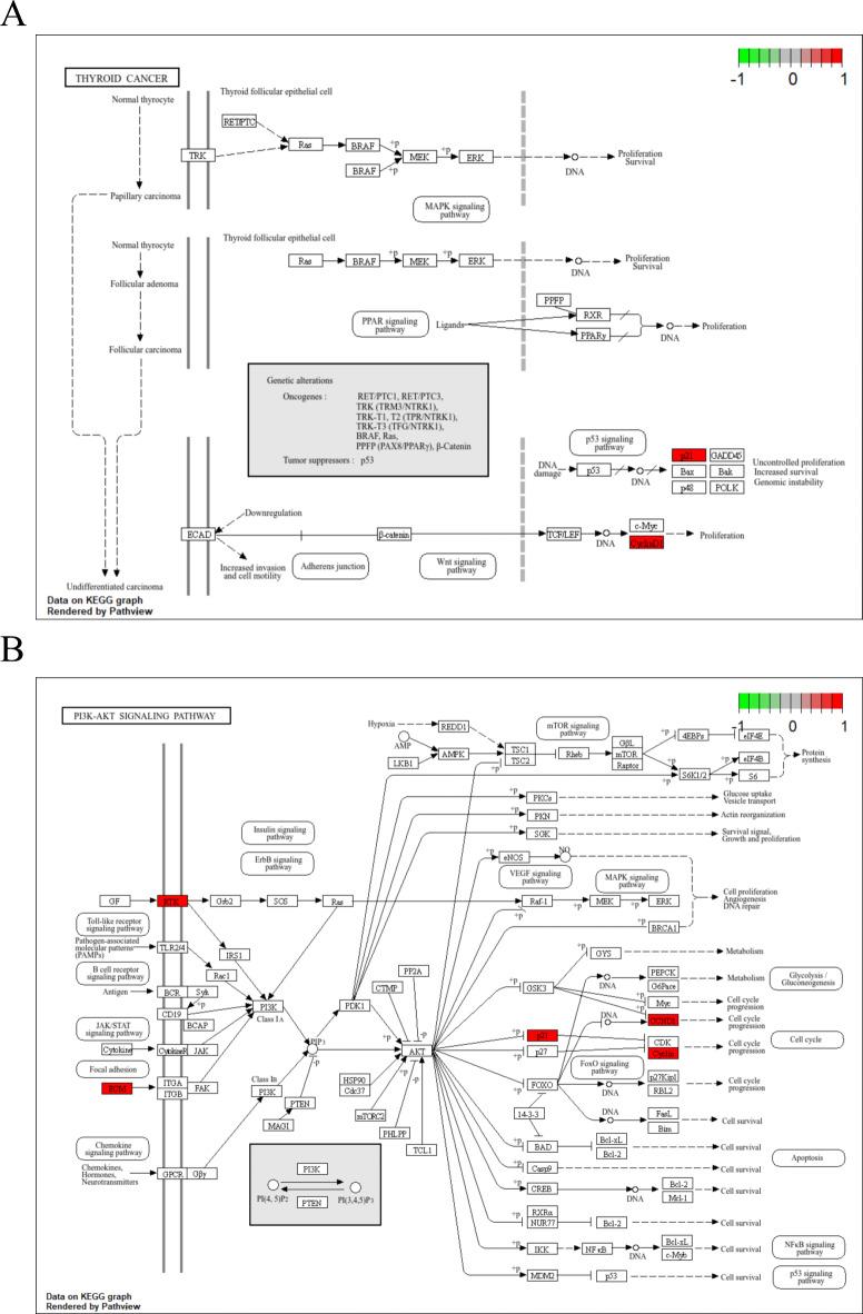 https://cdn.ncbi.nlm.nih.gov/pmc/blobs/4775/11747344/024569414b21/41598_2025_86733_Fig6_HTML.jpg