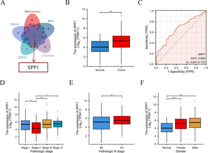 https://cdn.ncbi.nlm.nih.gov/pmc/blobs/4775/11747344/30d8ff1705a0/41598_2025_86733_Fig7_HTML.jpg