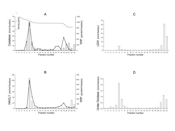 https://cdn.ncbi.nlm.nih.gov/pmc/blobs/4775/1913525/36836b0d4d81/1471-2091-8-10-3.jpg