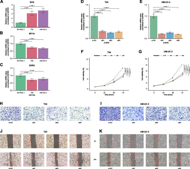 https://cdn.ncbi.nlm.nih.gov/pmc/blobs/4776/11302292/9c0b6cdb9ea7/12885_2024_12741_Fig10_HTML.jpg