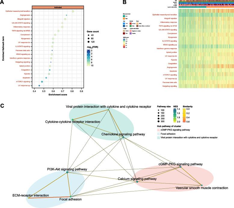 https://cdn.ncbi.nlm.nih.gov/pmc/blobs/4776/11302292/b9785d169aea/12885_2024_12741_Fig5_HTML.jpg