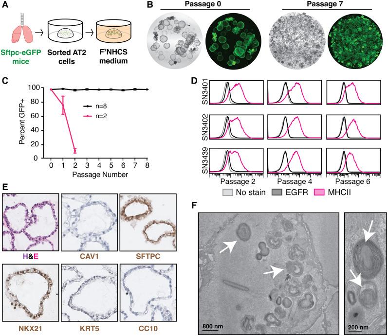 https://cdn.ncbi.nlm.nih.gov/pmc/blobs/4777/9575694/5cd019ca0a28/936f02.jpg