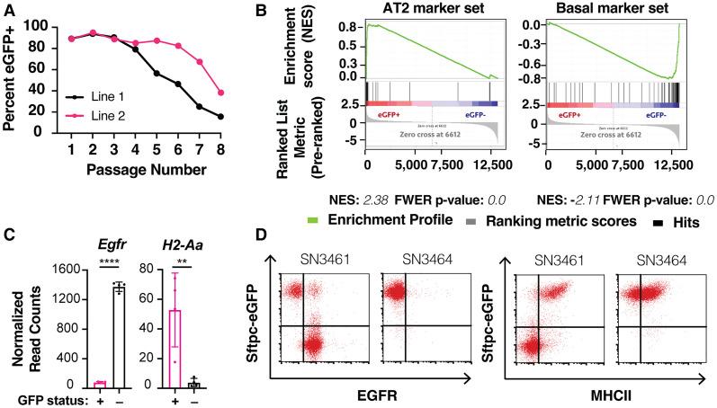 https://cdn.ncbi.nlm.nih.gov/pmc/blobs/4777/9575694/a441435dcbb4/936f01.jpg