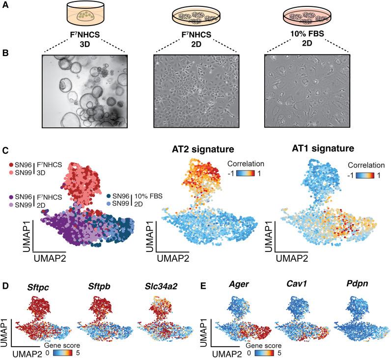 https://cdn.ncbi.nlm.nih.gov/pmc/blobs/4777/9575694/b20f7d2d9cfd/936f03.jpg